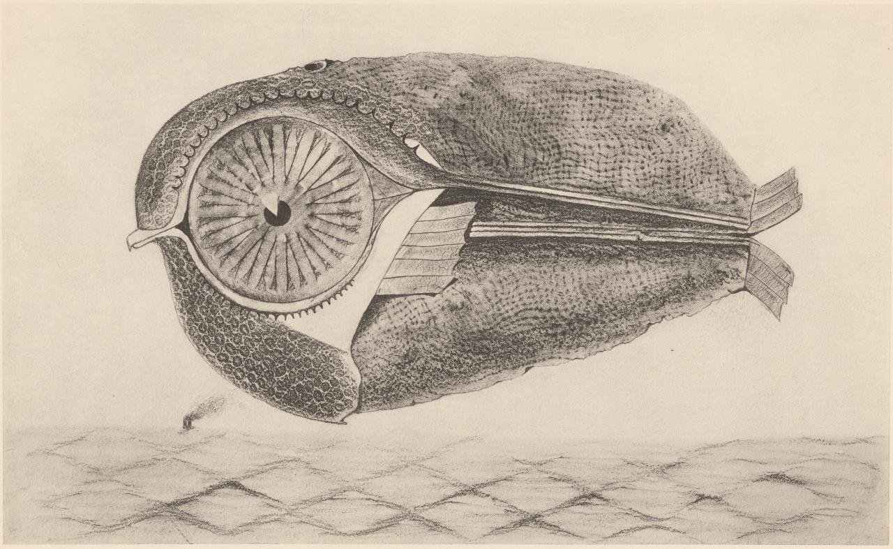 Histoire Naturelle (frottage)